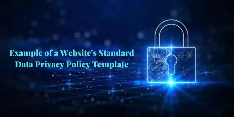 Example of a Website's Standard Data Privacy Policy Template