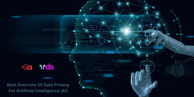 Best Overview Of Data Privacy For Artificial Intelligence (AI)