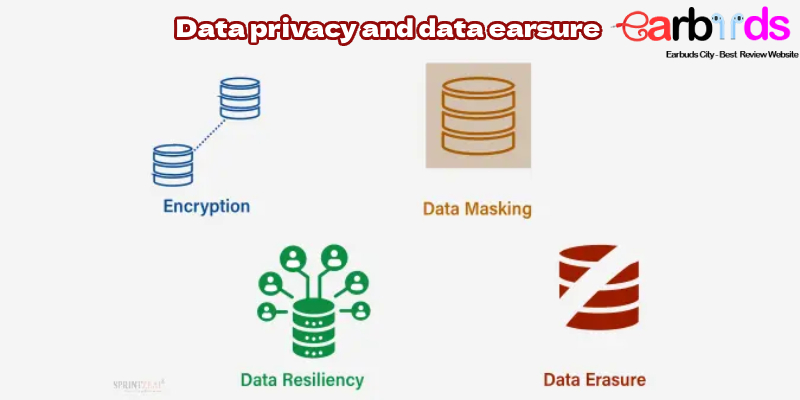 Data privacy and data earsure: Technological evolution and future trends